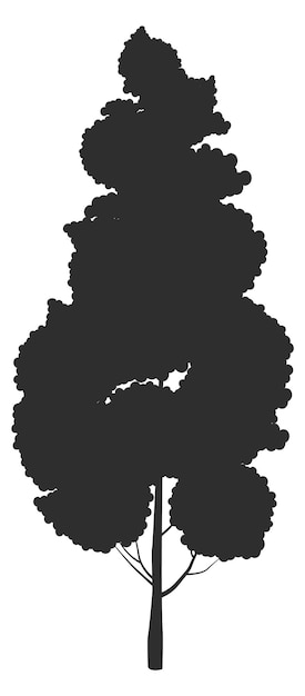 Schwarze Silhouette des Parkbaums Botanisches Element des Parks
