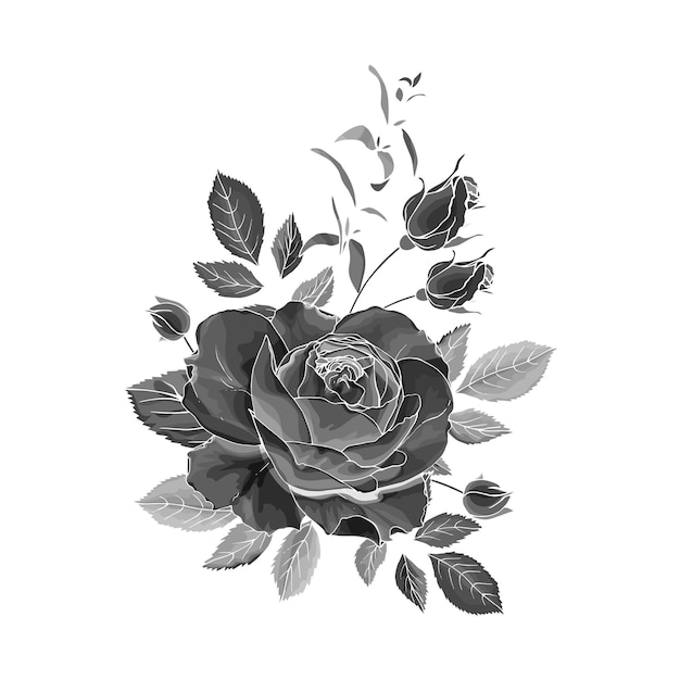 Schwarze silhouette rose mit zweigknospen blätter von hand gezeichnet