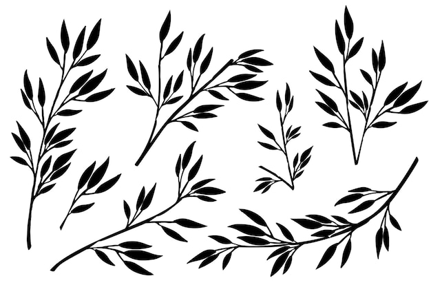 Schwarze silhouette von hand gezeichneten ästen mit blättern botanische blumen florale handgezeichnete skandinavische art-design-element-flache vektorgrafiken.