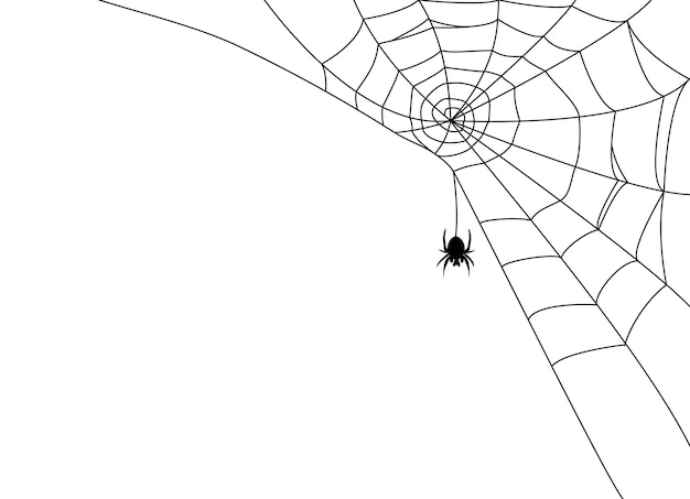 Schwarze spinne und netz beängstigendes spinnennetz der halloween-vektorillustration