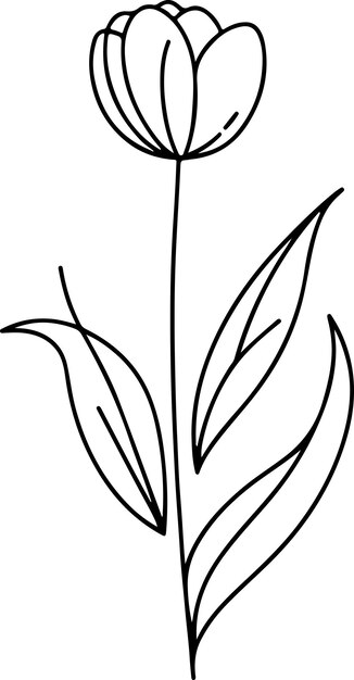 Schwarze Umrisse der Tulpen-Vektorillustration