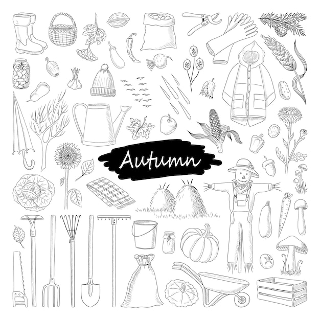 SCHWARZE VEKTORATTRIBUTE DES HERBSTES GETRENNT AUF EINEM WEIßEN HINTERGRUND