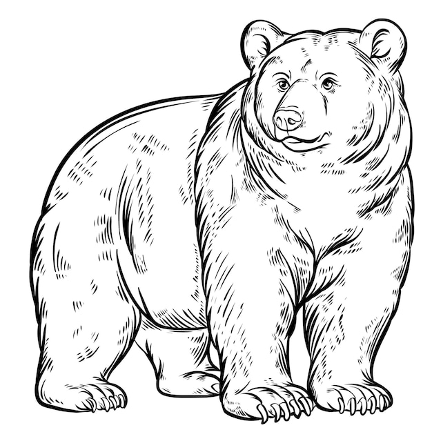 Schwarze Zeilen-Sketch eines Bärentieres