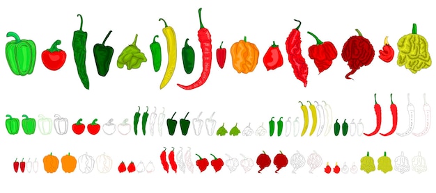 Scoville-pfeffer-wärmeskala pfefferillustration von der süßesten bis zur sehr scharfen farbe und konturen von paprika