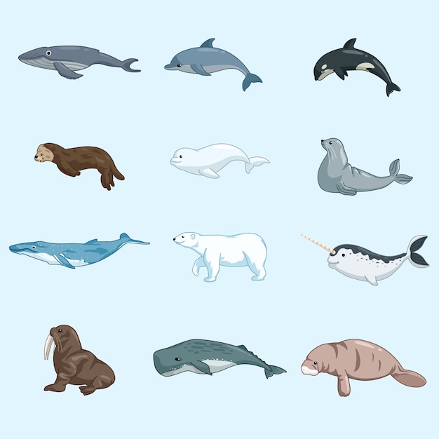 Sea animal säugetiere set