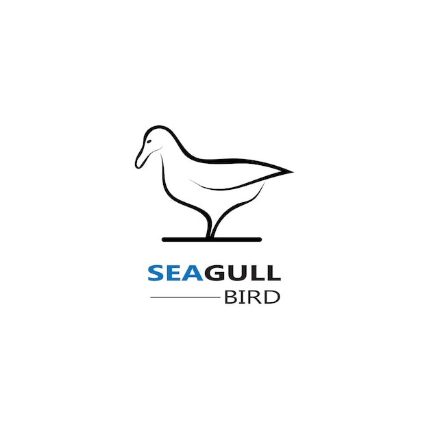 Seagull bird-logo-icon-vektordesigns