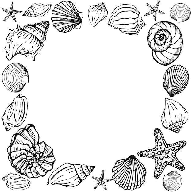 Seashells frame designvorlage für meer und ozean vektorillustration vektorkartenvorlagen perfekt für visitenkarten, einladungen, hochzeiten und webdesign