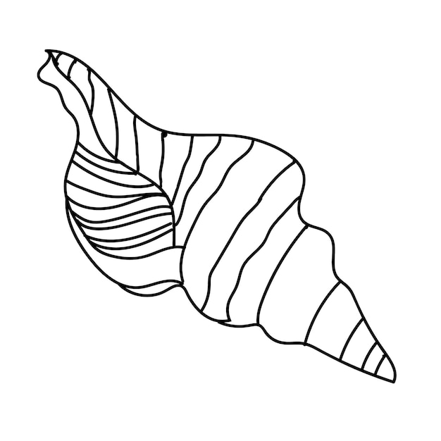 Seeschalen-vektor-illustration isoliert auf weißem hintergrund