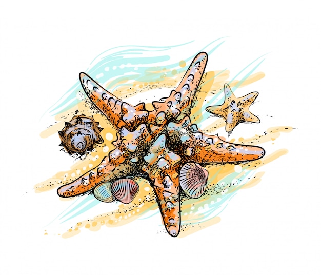 Seestern und Muscheln an einem Sommerstrand im Sand von einem Spritzer Aquarell, handgezeichnete Skizze. Vektorillustration von Farben