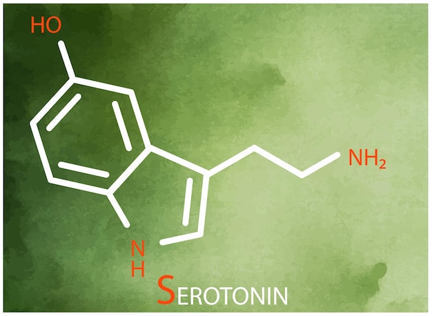 Serotonin-formel vektor dünnes linien-symbol der serotoninsmolekularstruktur