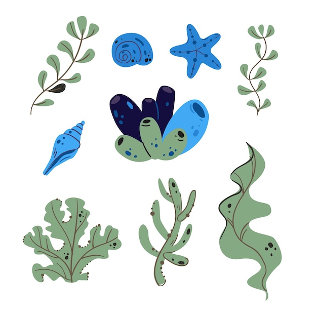 Set Aquarell Algenkorallen und Steine Unterwasser-Aquarell-Algen