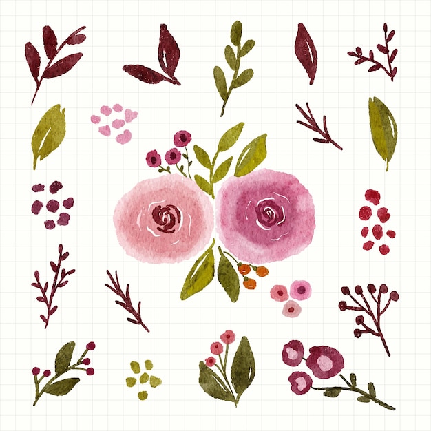 Vektor set aquarell blumen hortensie grün rosa und blatt isoliert clip-art