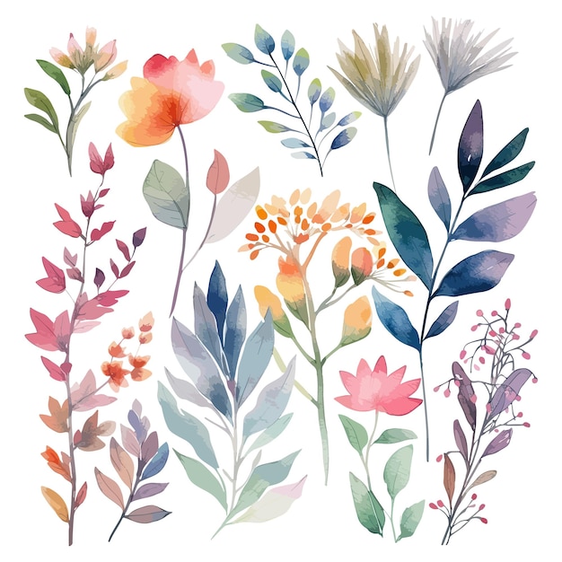 Set aus Aquarellblumen, Blättern und Zweigen auf weißem Hintergrund