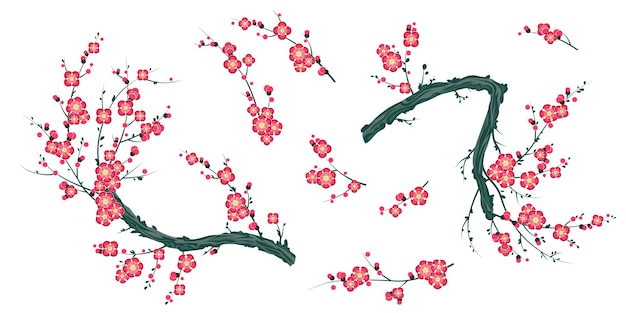Set aus blühenden roten Pflaumenzweigen