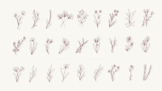 Set aus Blumensträußen und minimalistischen Blumen für Logos oder Tattoos Linienzeichnung Hochzeitskarte elegant