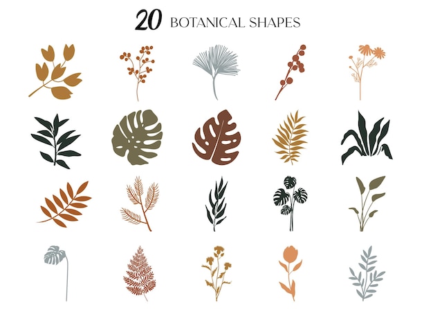 Set aus botanischen Blättern und Blumen im Silhouette-Stil