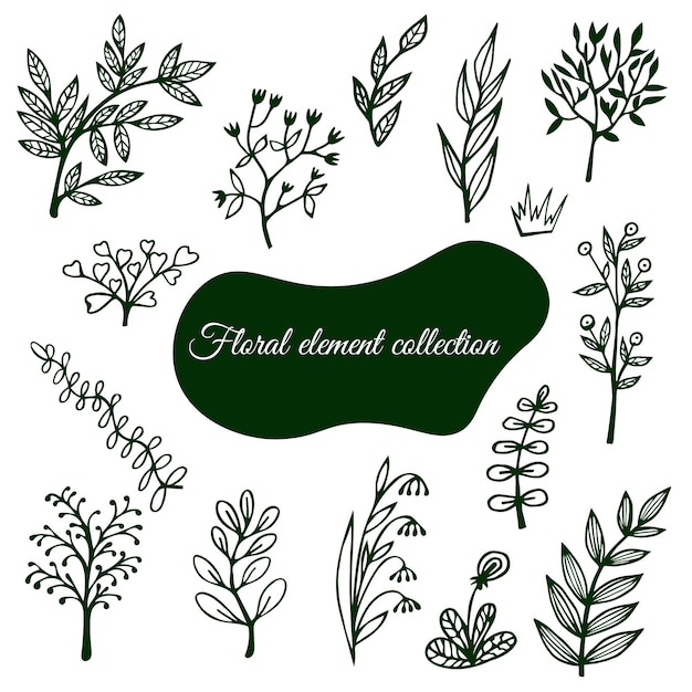 Set aus doodle-pflanzenelementen, dekorativen blättern und blumenornamenten