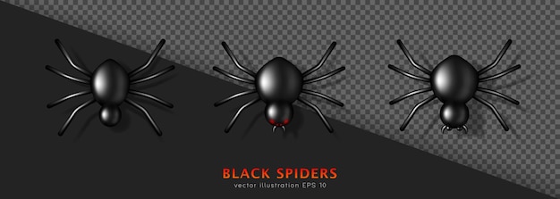 Set aus drei verschiedenen schwarz glänzenden giftspinnen in 3d. fleischfressendes gruseliges tier. halloween-dekor