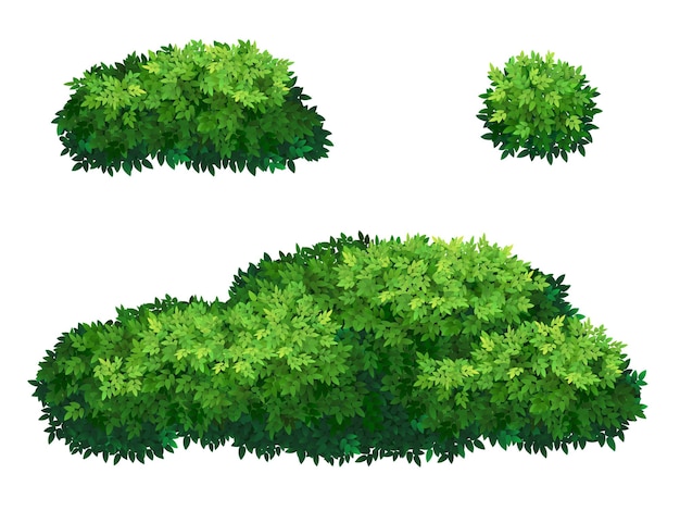 Vektor set aus grünem busch und baumkrone in verschiedenen formen zierpflanzenstrauch zum dekorieren eines parks, eines gartens oder eines grünen zauns dicke dickichte von sträuchern laub für frühlings- und sommerkartendesign