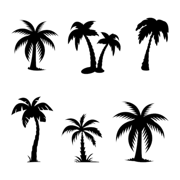 Vektor set aus kokosnuss- und palmensilhouette