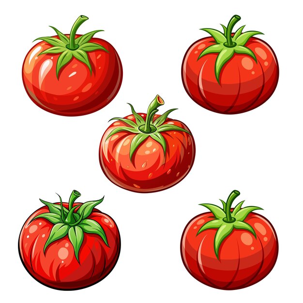 Vektor set aus roten frischen tomaten auf weißem hintergrund