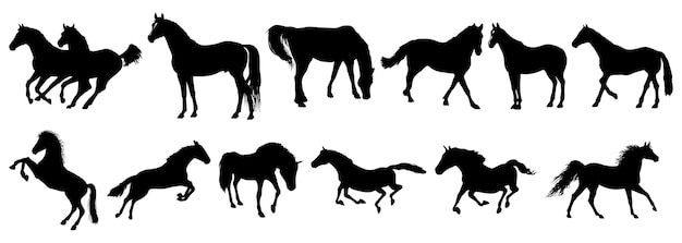 Set aus schwarzer silhouette eines pferdes. wunderschönes pferde-vektordesign, das die pferdesilhouette aufrichtet