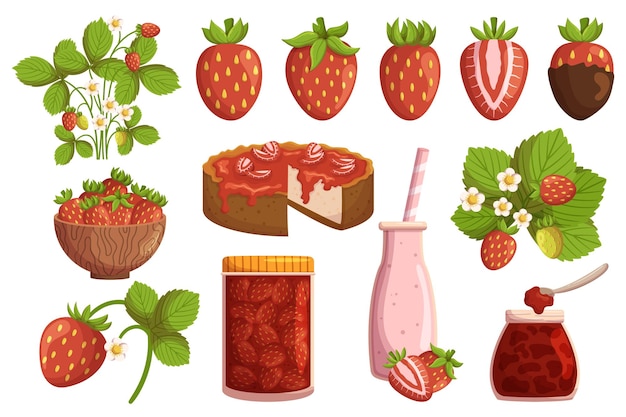 Vektor set aus süßen, saftigen und köstlichen frischen erdbeeren und produkten, beliebten früchten, die in einer vielzahl von kulinarischen anwendungen verwendet werden