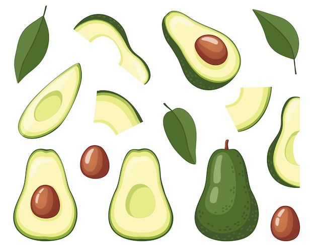 Set aus verschiedenen Avocadoscheiben