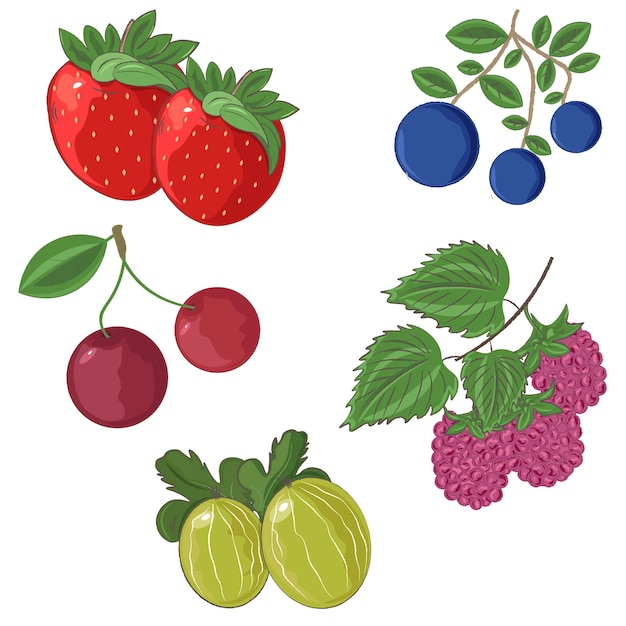 Set aus verschiedenen gartenbeeren