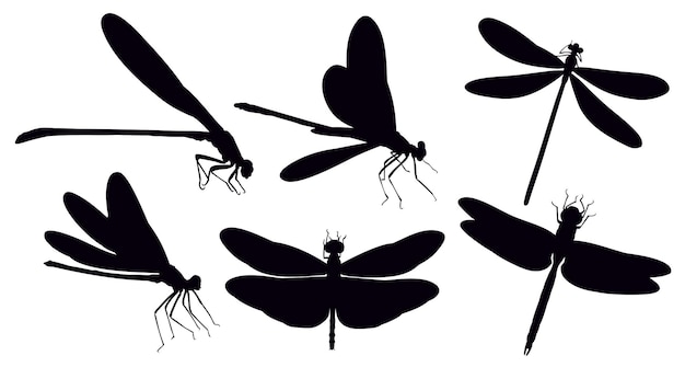 set dragonflies silhouettes