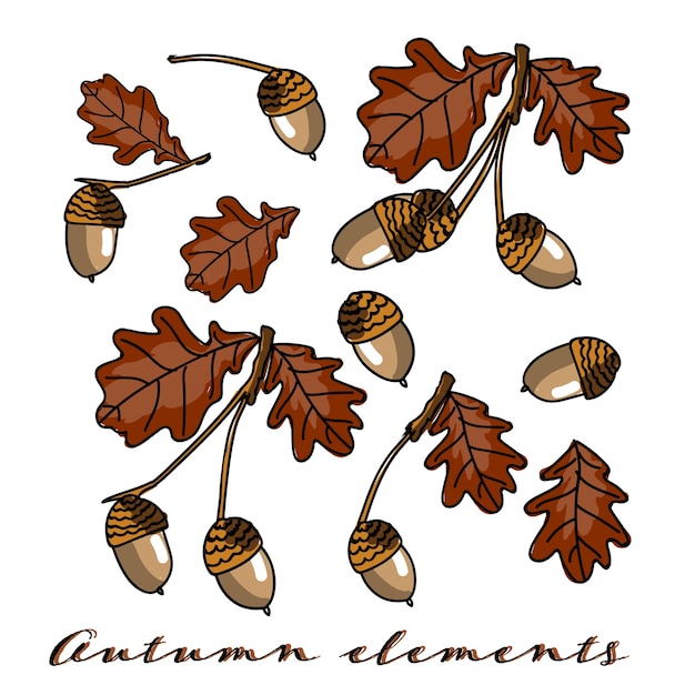 Set Herbst Elemente.