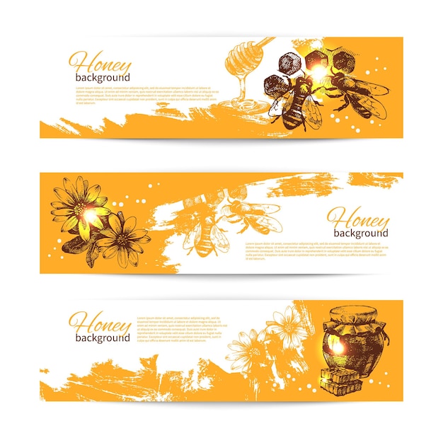 Set honigbanner mit handgezeichneten skizzenillustrationen