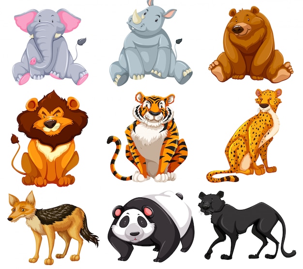 Set Karikaturtiere