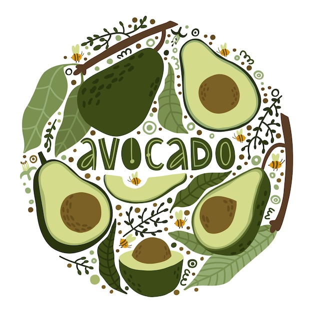 Set mit Avocado auf Ästen mit Blättern Avocado halbiert Avocadostücke Blumen Bienen und Knospen handgezeichnete Avocado in flacher Vektorgrafik