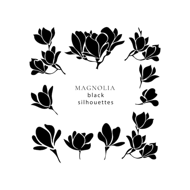 Set mit schwarzen silhouetten blühender magnolienzweige, vektorgrafik