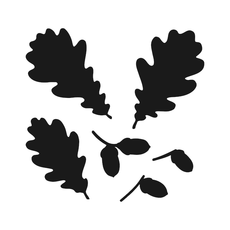 Vektor set mit silhouette eichenblatt und eichel handgezeichnete herbstvektorillustration