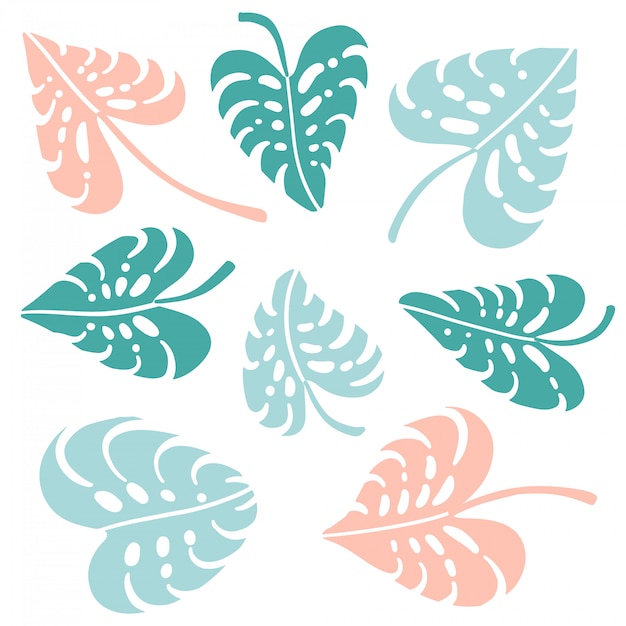 Set monstera tropical jungle plant grüne, blaue und rosa blätter. flache illustration auf weiß isoliert. herzform.