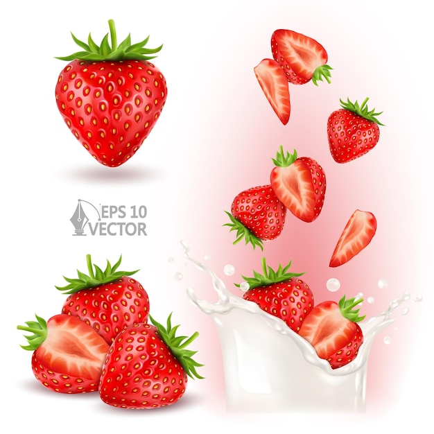 Set natürlicher reifer Erdbeeren. Saftige Beeren, die in einen Milch- oder Joghurtspritzer fallen. Realistischer Vektor