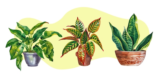 Vektor set of watercolor indoor plants in ceramic pots isolated vector illustration eps 10