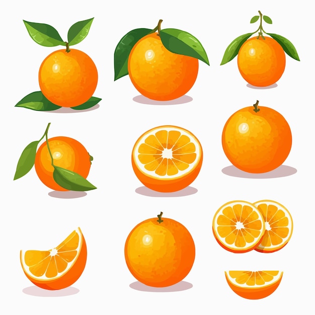 Vektor set orange fruit logo cartoon art illustration konzept süßes veganes essen