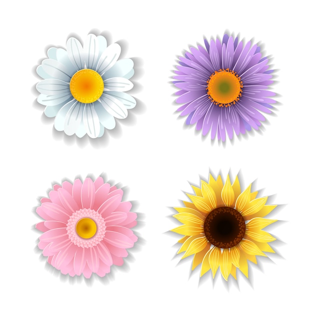 Set Papierkunstblumen.
