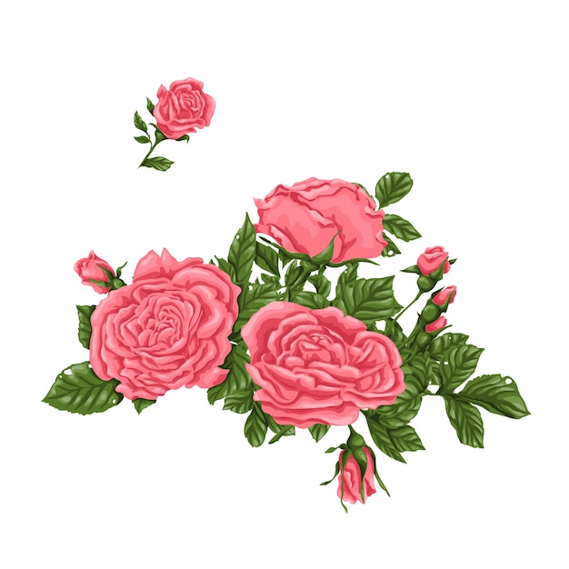 Set rosa blumensträuße, blumen und knospen.