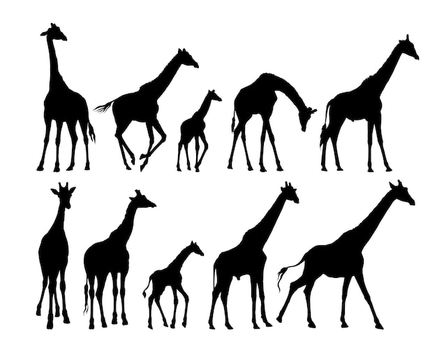 Set Silhouetten von großen und kleinen Giraffen