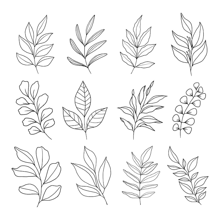 Vektor set von blättern illustration vektor