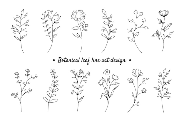 Set von botanischen pflanzen mit blumenlinie kunstelementdesign