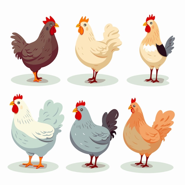 Set von Geflügelfarm-Hühnervögeln Hennen Cartoon-Vektor-Illustration
