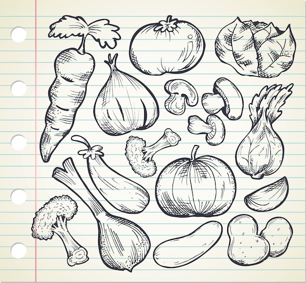 Set von hand gezeichnet gemüse