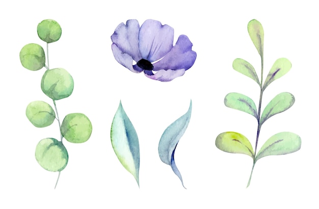 Set von handgezeichneten aquarellblumen und -blättern