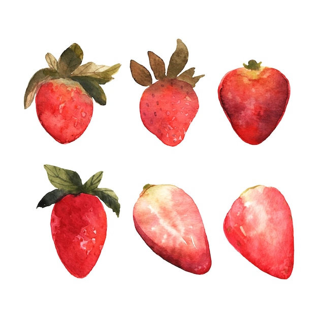 Vektor set von handgezeichneten roten erdbeeren illustrarion mit beeren erdbeerscheiben in aquarell vektor