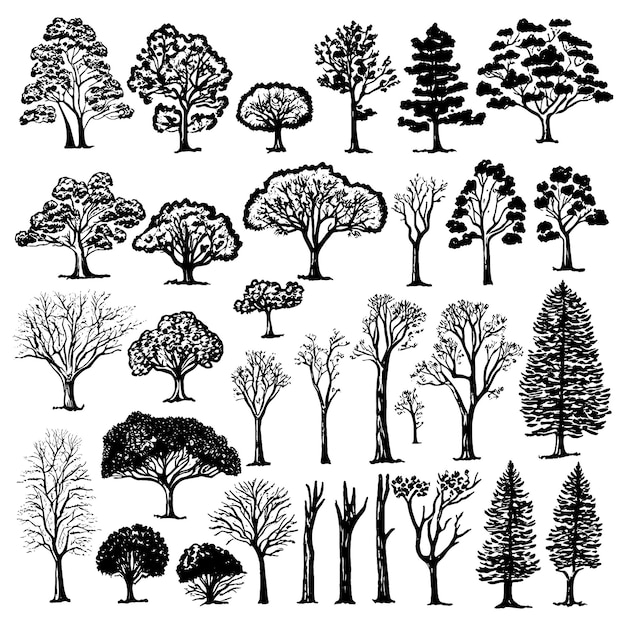 Vektor set von handgezeichneten vintage-bäumen